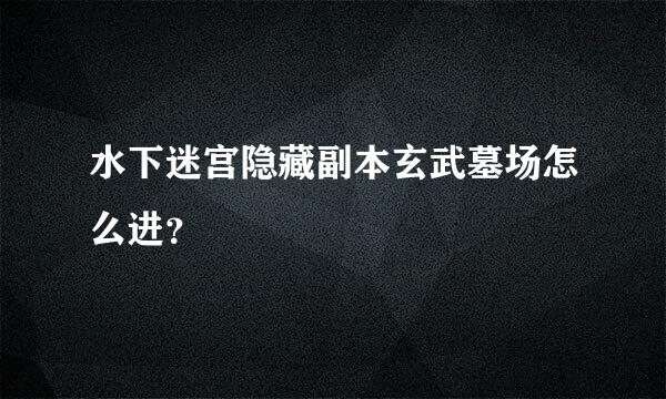 水下迷宫隐藏副本玄武墓场怎么进？