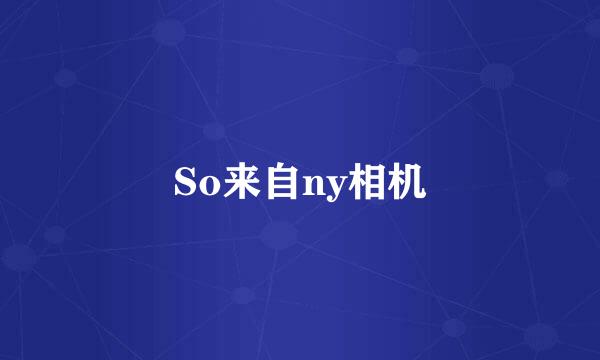 So来自ny相机