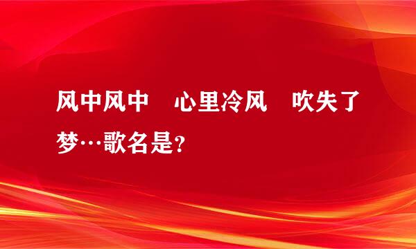 风中风中 心里冷风 吹失了梦…歌名是？