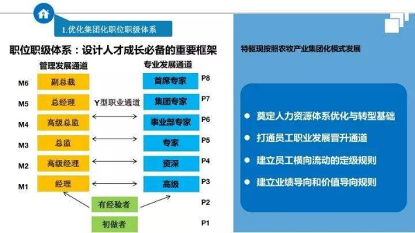 “职系、职组、职级、职等”分别是什么？