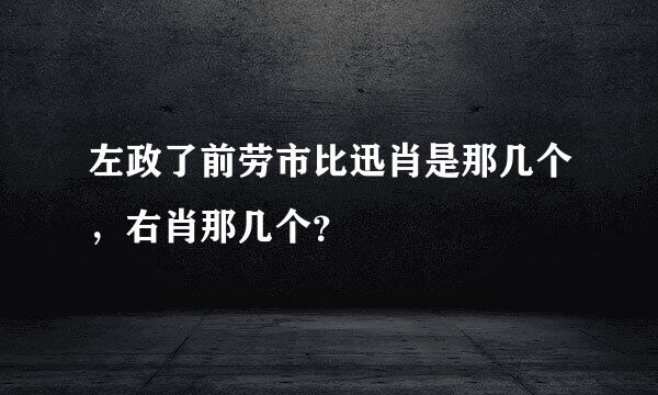 左政了前劳市比迅肖是那几个，右肖那几个？