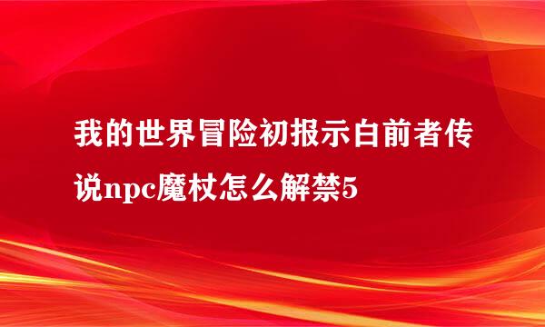 我的世界冒险初报示白前者传说npc魔杖怎么解禁5