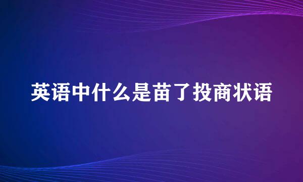 英语中什么是苗了投商状语