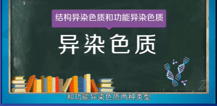 异染色质名词解释是什么?