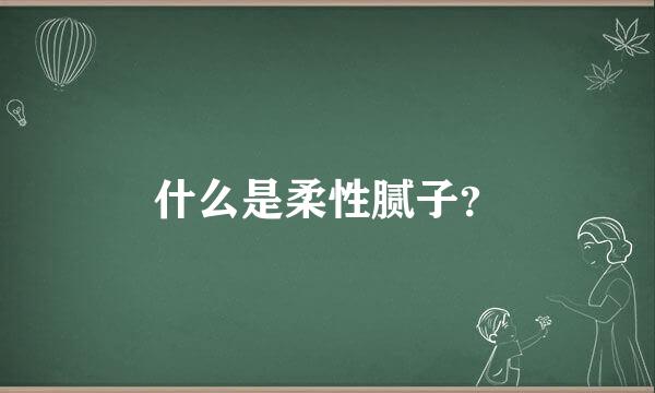 什么是柔性腻子？