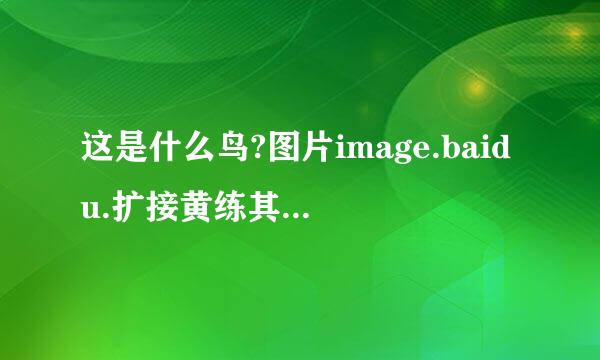 这是什么鸟?图片image.baidu.扩接黄练其话向金谁com/i?tn=b提象王正aiduimage&ct=201326592&lm=-1&cl=2&word=%C4%F1&t=3第4张