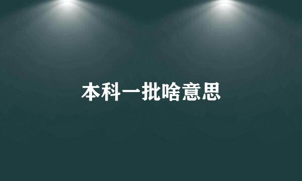 本科一批啥意思