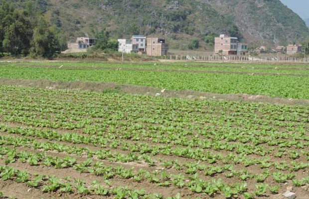 一刚支建间内亩地是多少平方米？来自