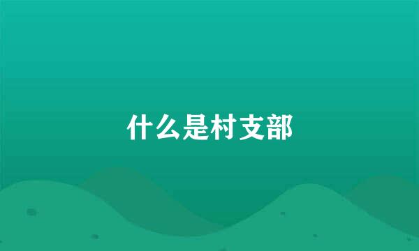 什么是村支部