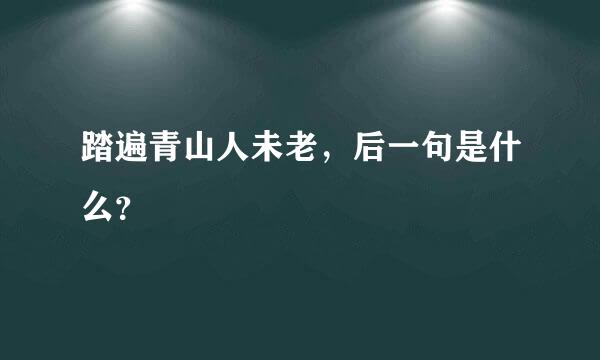 踏遍青山人未老，后一句是什么？