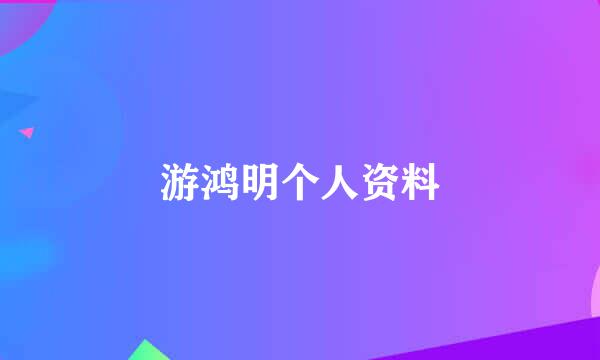 游鸿明个人资料