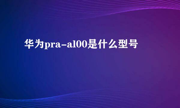 华为pra-al00是什么型号