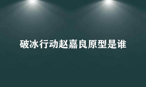 破冰行动赵嘉良原型是谁