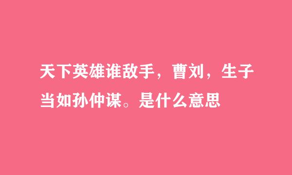 天下英雄谁敌手，曹刘，生子当如孙仲谋。是什么意思