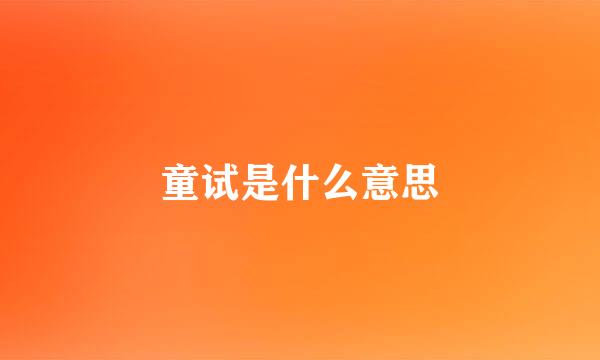 童试是什么意思