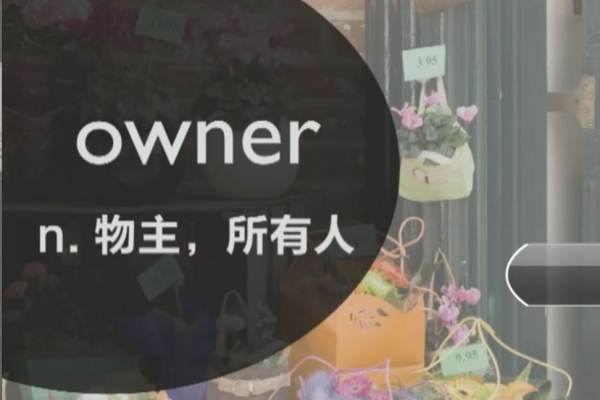 owners是什么意思中文