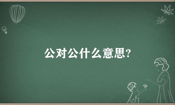 公对公什么意思?