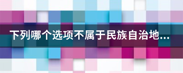 下列哪个选项不属于民族自治地方的自治机关?