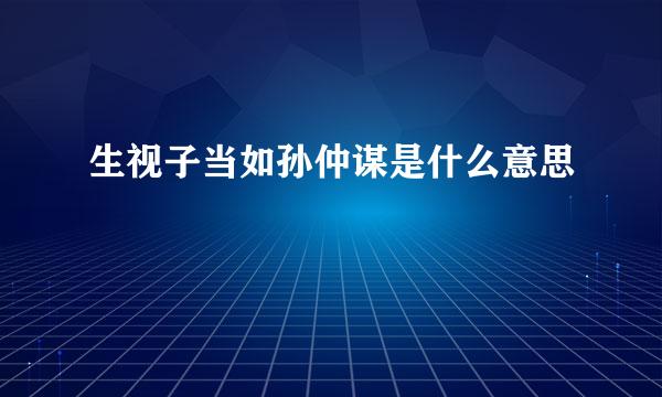 生视子当如孙仲谋是什么意思