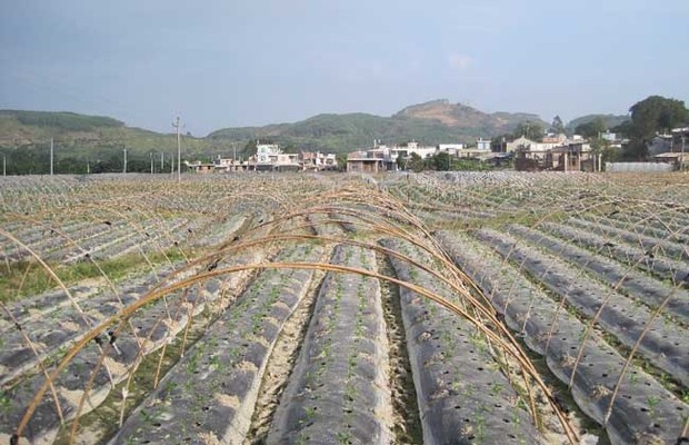 一刚支建间内亩地是多少平方米？来自