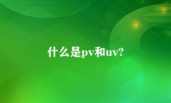 什么是pv和uv?