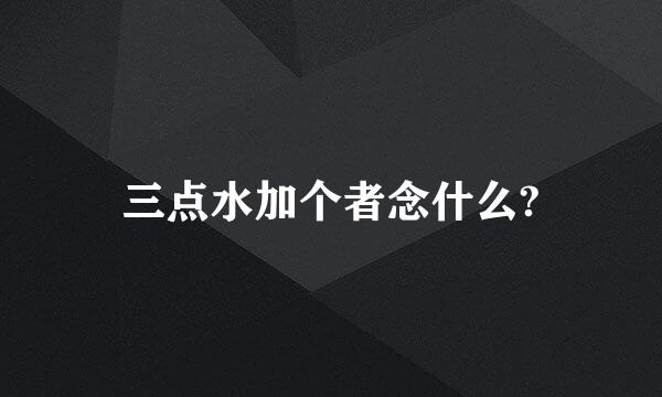 三点水加个者念什么?