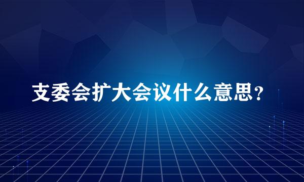 支委会扩大会议什么意思？