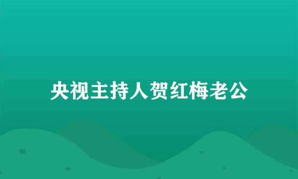 央视主持人贺红梅老公