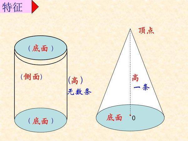 圆柱与圆锥有哪些区别？