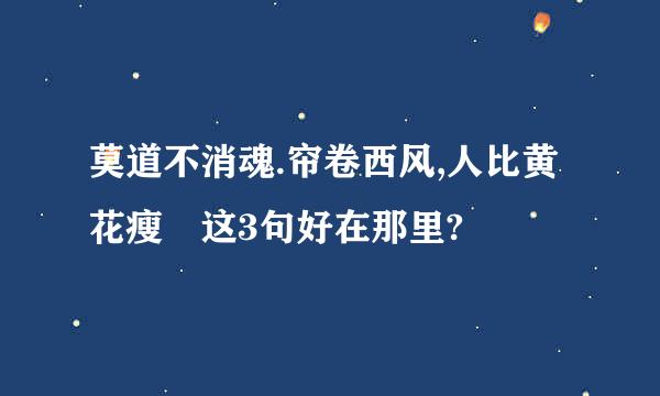 莫道不消魂.帘卷西风,人比黄花瘦 这3句好在那里?