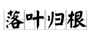 “叶落归根”和“落叶归根”怎么解释？是一样的意思吗？