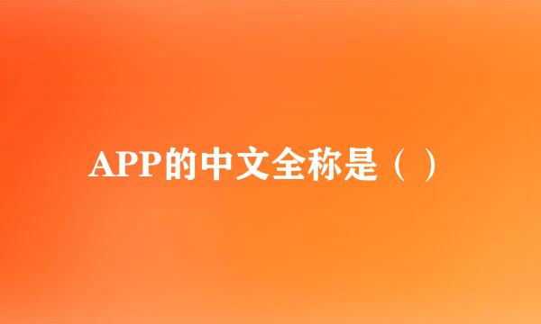 APP的中文全称是（）