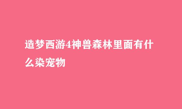 造梦西游4神兽森林里面有什么染宠物