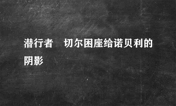 潜行者 切尔困座给诺贝利的阴影