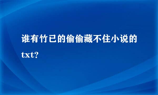 谁有竹已的偷偷藏不住小说的txt？