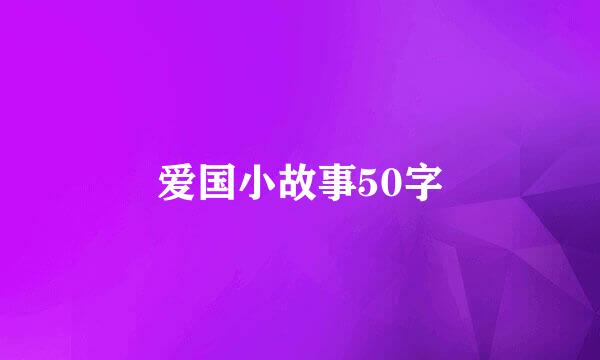 爱国小故事50字