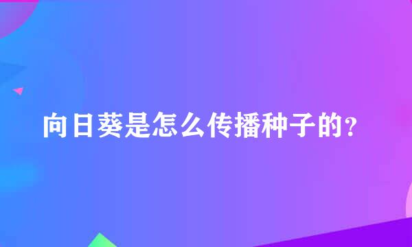 向日葵是怎么传播种子的？