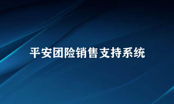 平安团险销售支持系统