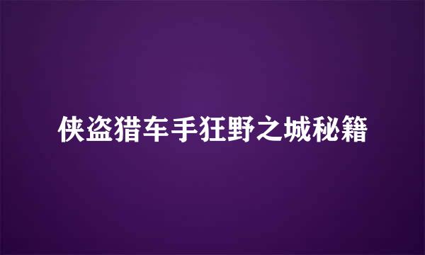 侠盗猎车手狂野之城秘籍