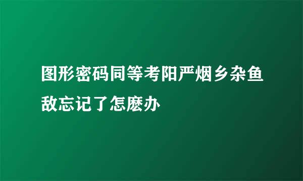 图形密码同等考阳严烟乡杂鱼敌忘记了怎麽办