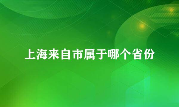 上海来自市属于哪个省份