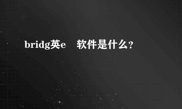 bridg英e 软件是什么？