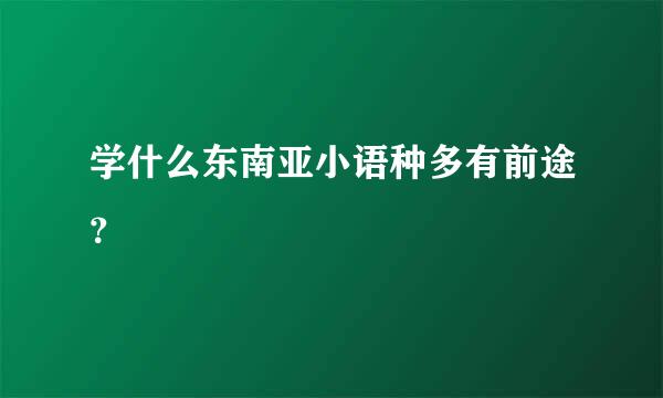 学什么东南亚小语种多有前途？