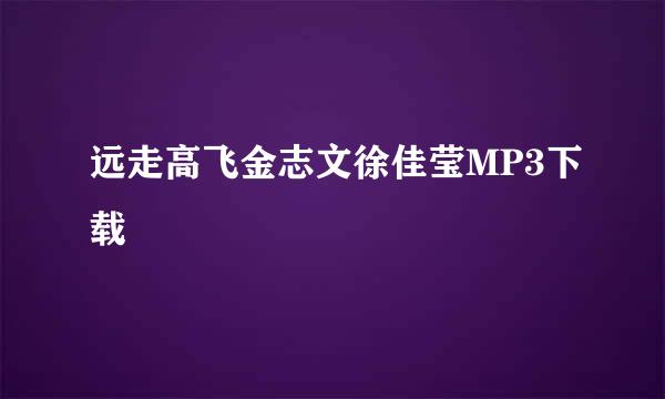 远走高飞金志文徐佳莹MP3下载