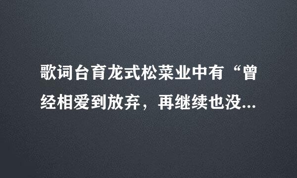 歌词台育龙式松菜业中有“曾经相爱到放弃，再继续也没有意义”的歌曲名是什么？