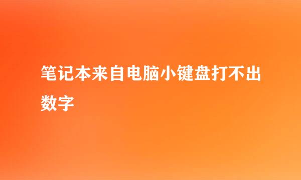 笔记本来自电脑小键盘打不出数字