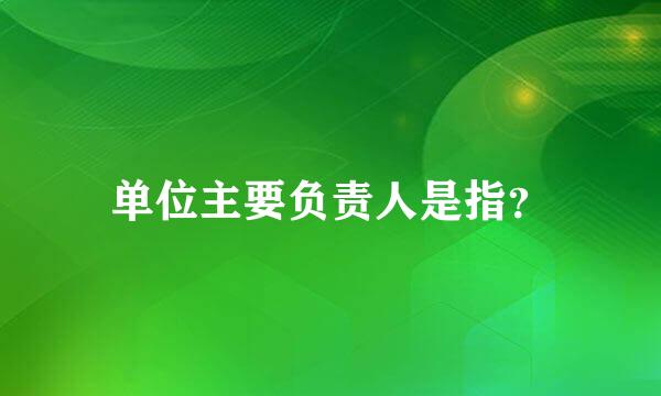 单位主要负责人是指？