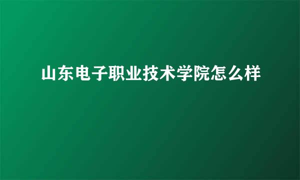 山东电子职业技术学院怎么样