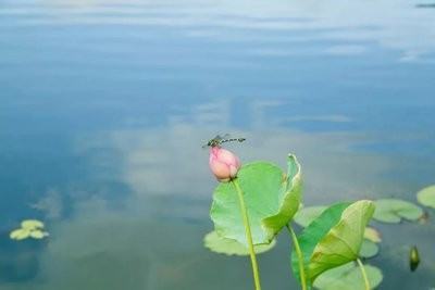 与“节约用水”有关的古诗都有哪些？