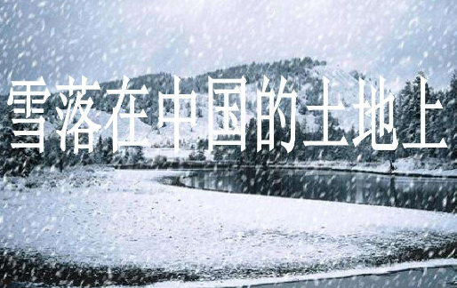 《雪落在来自中国的土地上》意象是什么？